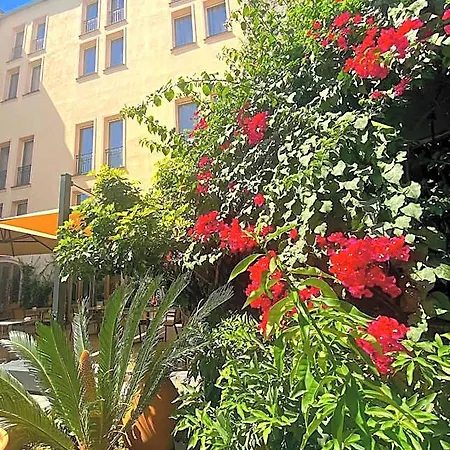 Pozzo Di Borgo Ajaccio (Corsica)
