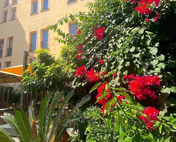 Hotel Pozzo Di Borgo Ajaccio (Corsica)